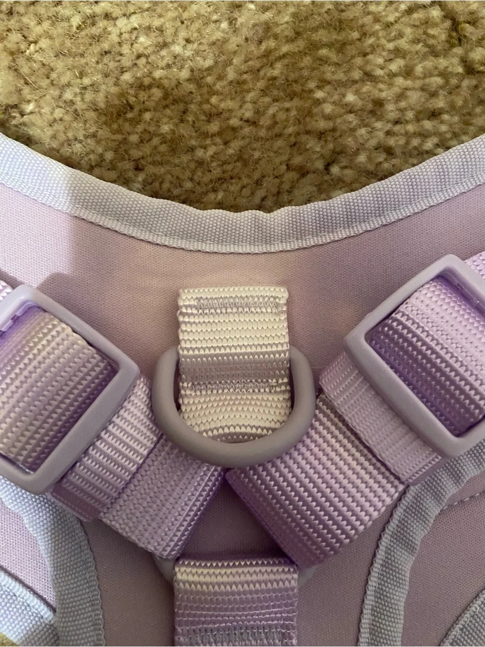 Lavender Padded No-Pull Dog Harness with Adjustable Straps